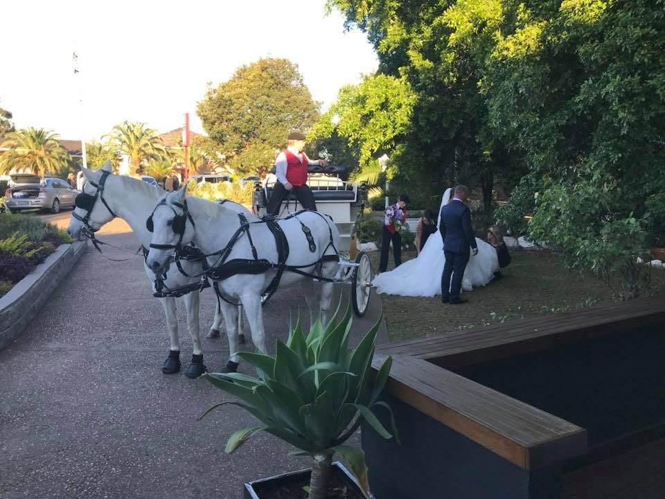 Elegant horse-drawn white carriage arrival for wedding entrance at Tudor Lodge